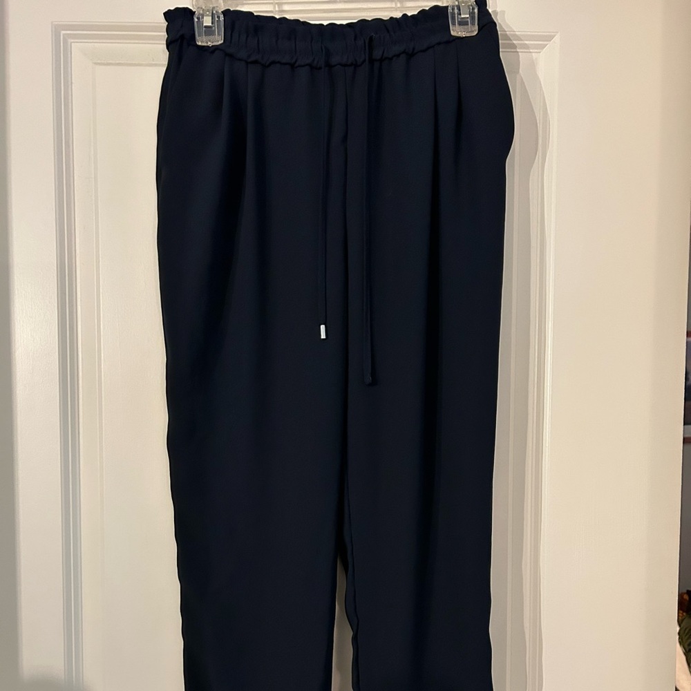 Zara elastic waist pants